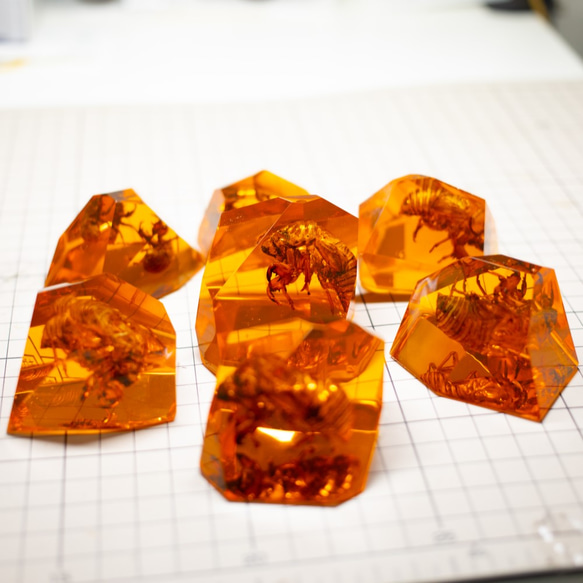 人工琥珀【蝉の抜け殻Ver】Artificial amber 5枚目の画像