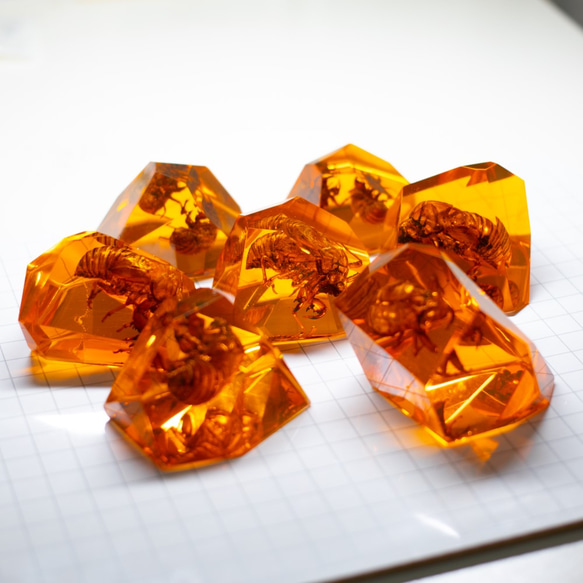 人工琥珀【蝉の抜け殻Ver】Artificial amber 6枚目の画像