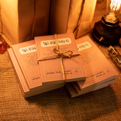 【書籍】ニケル文字謎文書 1枚目の画像