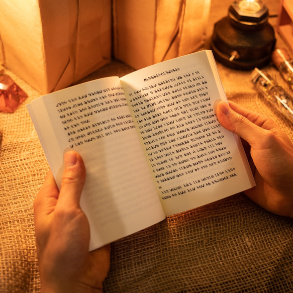 【書籍】ニケル文字謎文書 2枚目の画像