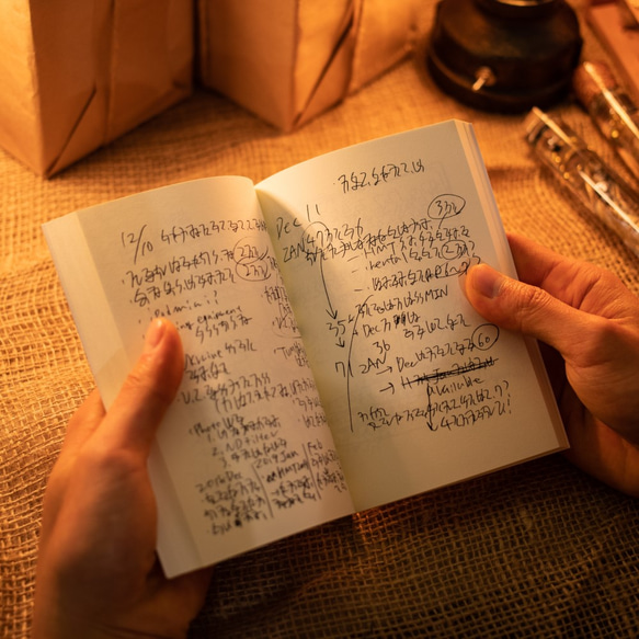 【書籍】ニケル文字謎文書 6枚目の画像