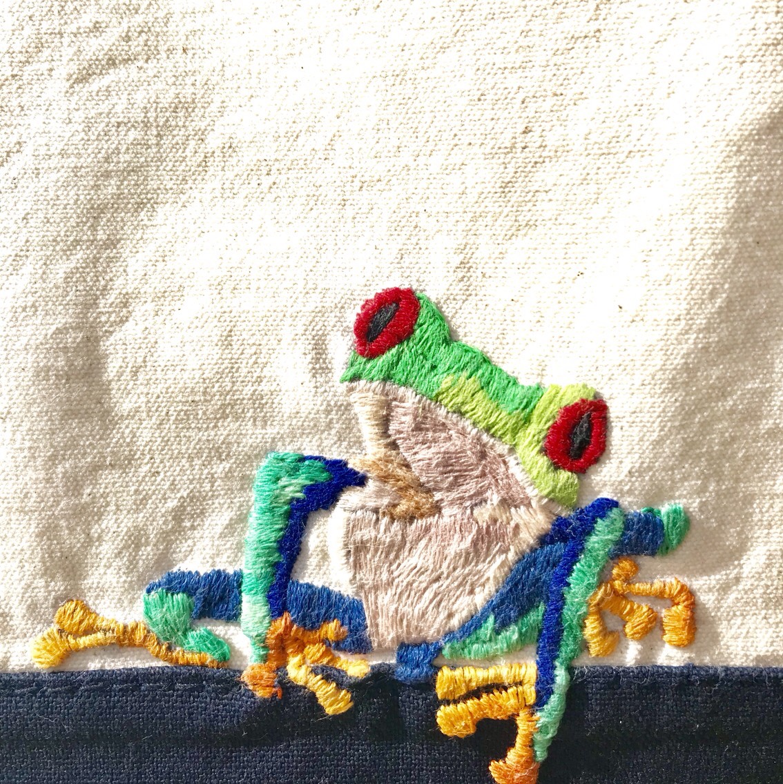 アカメアマガエルのトート