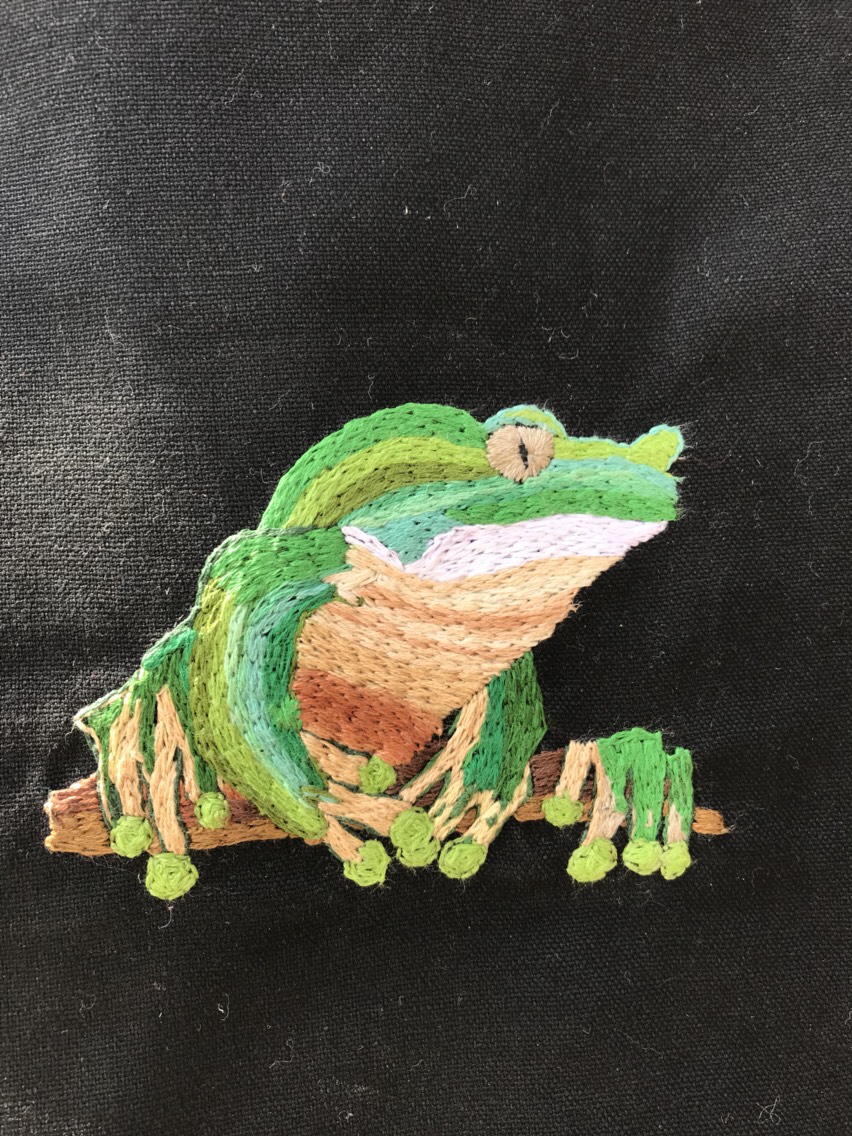 ジャイアントネコメガエルのトート