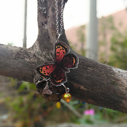 紅灰蝶 Lycaena phlaeas 壓克力項鍊 第2張的照片