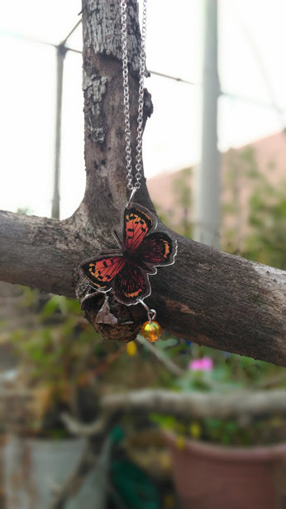 紅灰蝶 Lycaena phlaeas 壓克力項鍊 第2張的照片