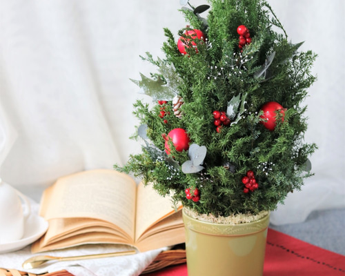 バカラ　ノエル　クリスマスツリー　アイ　レッド バカラ ノエル クリスマスツリー アイ レッド