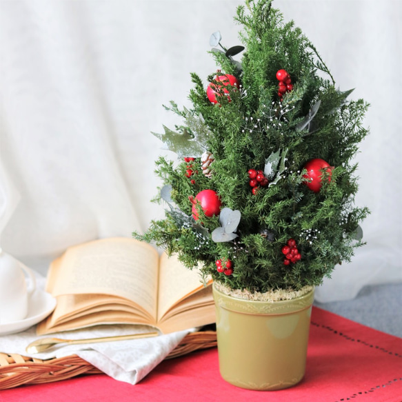 新作 クリスマスツリーレッド【キャロル】 高さ36cm 赤いリンゴと