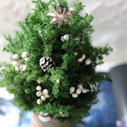 ★クリスマスツリー【clochette クロシェット】雪だるまともみの木　Putican Roseプチキャンローズ 3枚目の画像