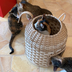 【受注製作】オリジナルにゃんちぐら♡上から下から楽しめる 持ち運び便利な猫耳 猫じゃらしにもなる尻尾がcute♡ 13枚目の画像