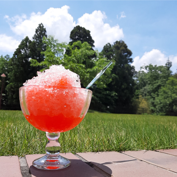 デザート鉢　氷鉢　夏　透明　 3枚目の画像