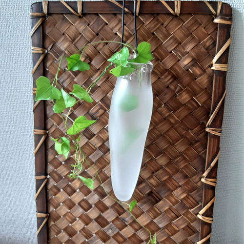 壁掛け花瓶 磨りガラス 吹きガラス 一輪挿し・花瓶・花器 ガラス日和