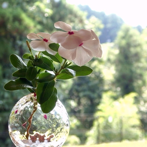 ガラス ドットの一輪挿し［ピンク］ 吹きガラス 一輪挿し・花瓶