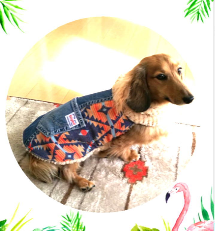 デニムリメイク犬服 防寒ドッグウェア ペット服・アクセサリー