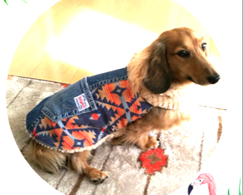 デニムリメイク犬用ワンピース ドッグウェア 0_7f4cd7801ff95cd61eb096bc2ca7