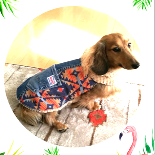 犬服 No.195 デニム風メッシュ夏のワンピース ハンドメイド 犬服 No.195 デニム風メッシュ夏のワンピース ハンドメイド