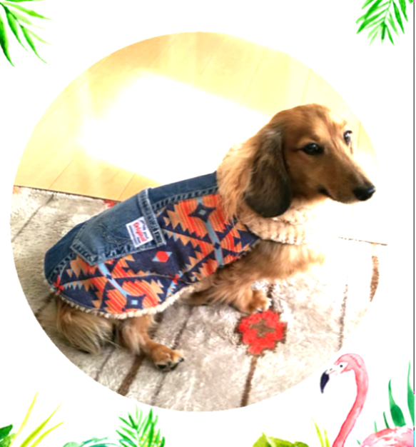 デニムリメイク犬服 防寒ドッグウェア ペット服・アクセサリー
