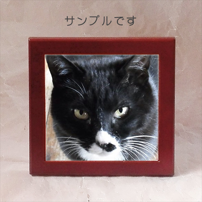 「センチメンタル猫」黒額縁ご確認ページ 尾九 開運イラスト 招き猫 黒ネコに達磨 A4サイズ フレーム付き