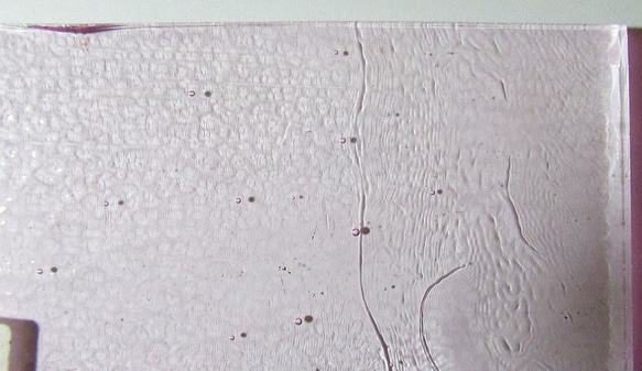ブルズアイ　フュージング用板ガラス55　エルビウムピンク　ティント　9.7x6.9x0.3cm　1枚 4枚目の画像