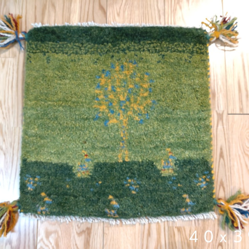 大特価40％OFF】ペルシャ絨毯 ギャッベ ミニマット 40×39 緑