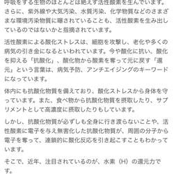 水素茶製造ボトル　 6枚目の画像