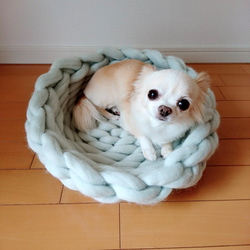 【受注制作】超極太糸で編んだペットベッドロータイプ（猫ちゃん・小中型犬） 1枚目の画像