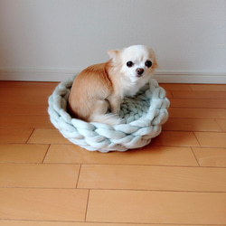 [訂單生產]超厚毛線針織寵物床@低型（貓/小/中型狗） 第2張的照片