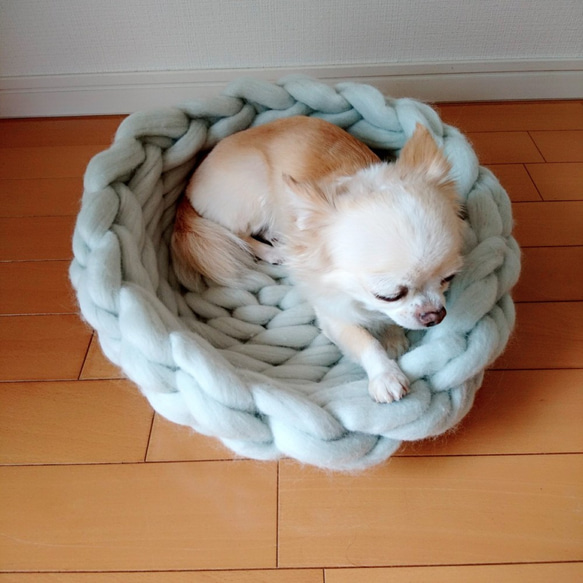 【受注制作】超極太糸で編んだペットベッドロータイプ（猫ちゃん・小中型犬） 3枚目の画像