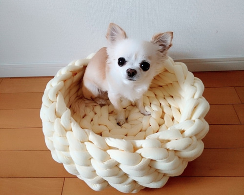 0_29b73f8f40f800b1698e2db87b00