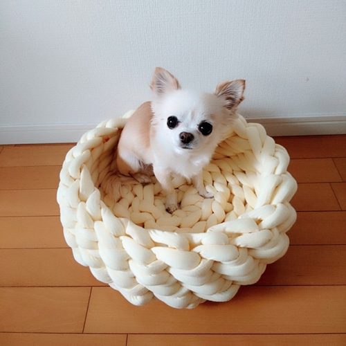 受注制作】極太コットン風糸で編んだペットベッドロータイプ