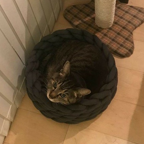【定做】超粗棉線針織寵物床高款（貓貓用） 第4張的照片