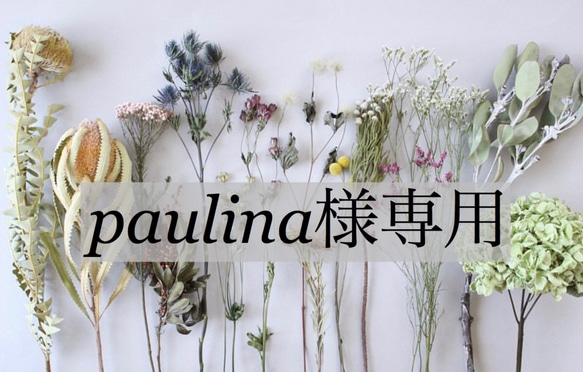 paulina様専用 1枚目の画像