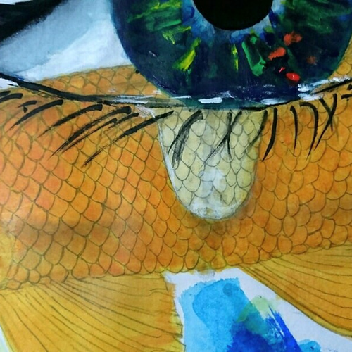 可愛い魚イラスト | TikTok