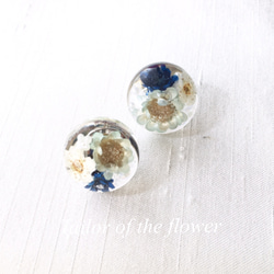 ひと粒の小さな世界〜FLOWERS BLUE〜ピアス 1枚目の画像