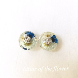 ひと粒の小さな世界〜FLOWERS BLUE〜ピアス 2枚目の画像