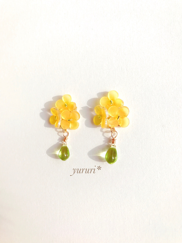 再販【yellow- bouquet】菜の花＊イヤリング（ピアス） 3枚目の画像