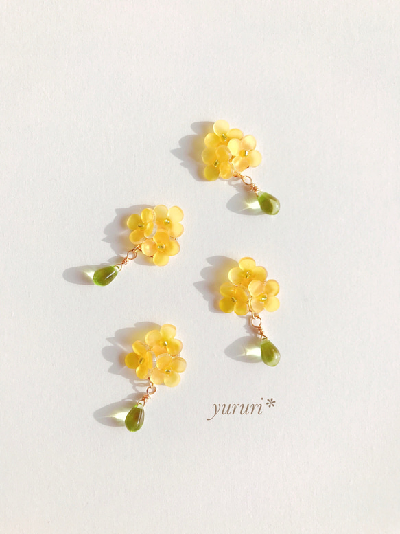 再販【yellow- bouquet】菜の花＊イヤリング（ピアス） 5枚目の画像