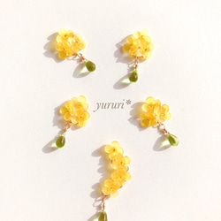 再販【yellow- bouquet】菜の花＊イヤリング（ピアス） 6枚目の画像