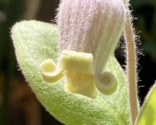 0_969a5dc7ea8896c8bd4632957bc0