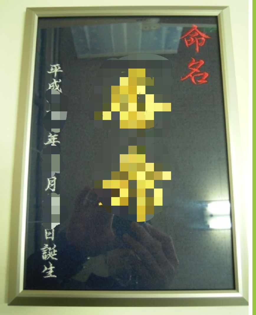命名額 刺繍 赤ちゃん 記念