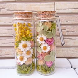 専用感謝Sale＊コットンツリーブリキアレンジ＆コットンドライボトル 専用感謝Sale＊コットンツリーブリキアレンジ＆コットンドライボトル