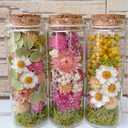 deuxRドライフラワー ハーバリウム 3本セット植物標本ボタニカル