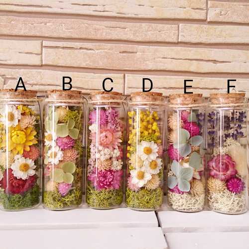 専用＊ Jumbo bottleドライフラワーボトル　 テトラゴナ 専用＊ Jumbo bottleドライフラワーボトル テトラゴナ 専用＊ Jumbo