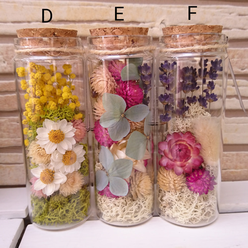 選べる1本＊ドライフラワーボトル＊ボトルフラワー ドライフラワー