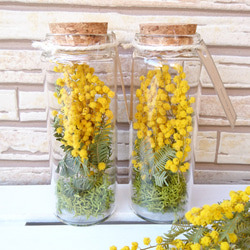 All flowers⭐️新品レア6枚set⭐️ラベンダー　旧ミモザ　シロツメクサ All flowers⭐️6枚set⭐️ラベンダーミモザシロツメクサ近沢レース