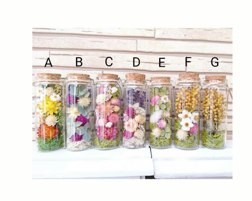 専用＊ Jumbo bottleドライフラワーボトル　グリーン① 専用＊ Jumbo bottleドライフラワーボトル グリーン②