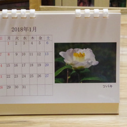 2018年版　卓上カレンダー（季節の花々１） 1枚目の画像