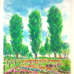 0_d74483e5e3eb423cfde37067ad3b