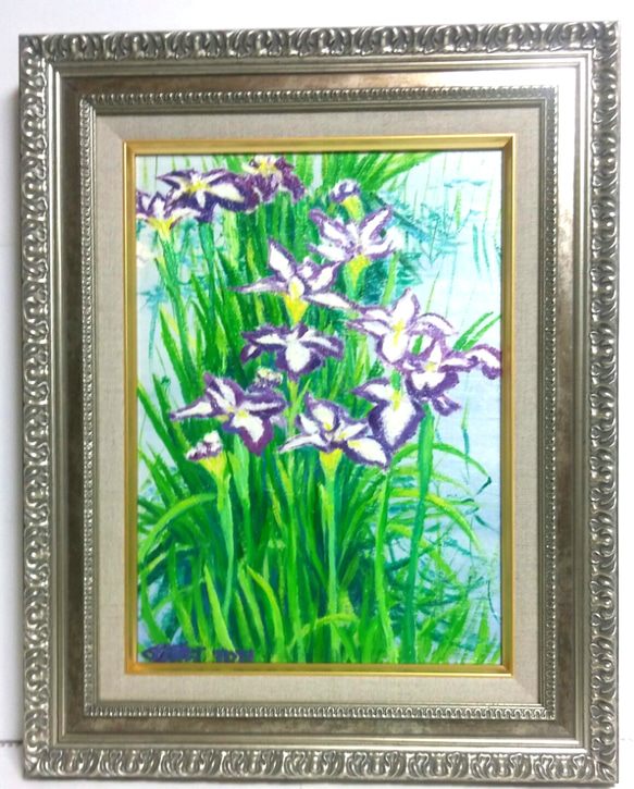 アヤメ　油彩画　F4 あやめ F4 油彩 原画販売