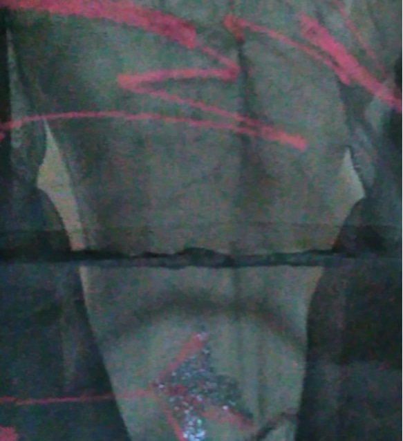 着物リメイク　シルク　夏着物透けかんのあるマーガレット　黒×赤花柄×シルバー 5枚目の画像