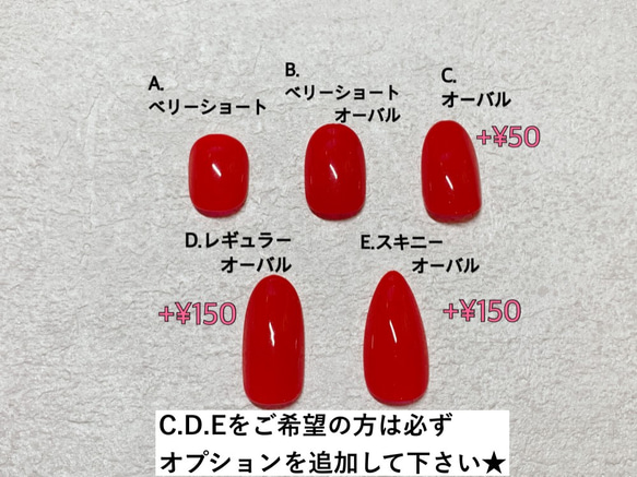 シェルフラワー×ニュアンスチークネイルチップ 3枚目の画像